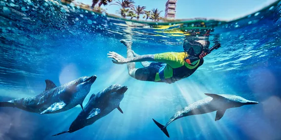 Atlantis Dubai unveils major change to the Lost World Aquarium 