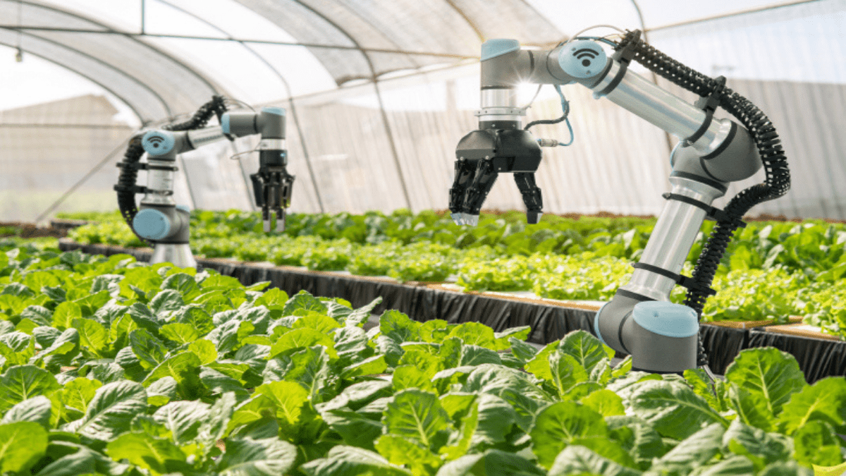 How Science And Technology Transforms The Food Industry