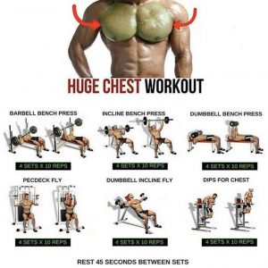 chest workouts 