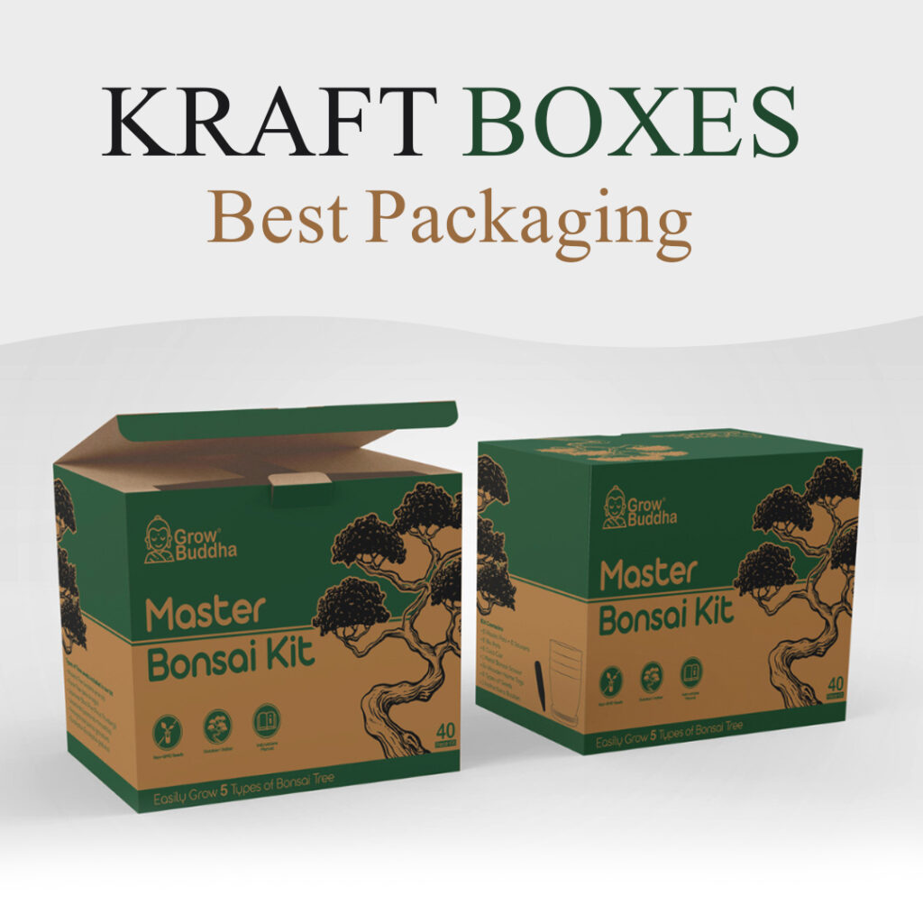 Kraft boxes