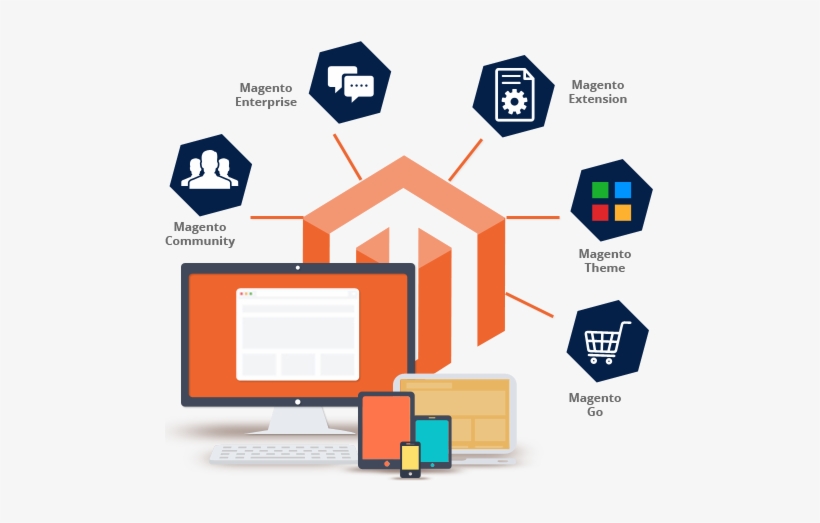 5 Reasons Why Custom Magento Development Services Are Better Than Software as a Service