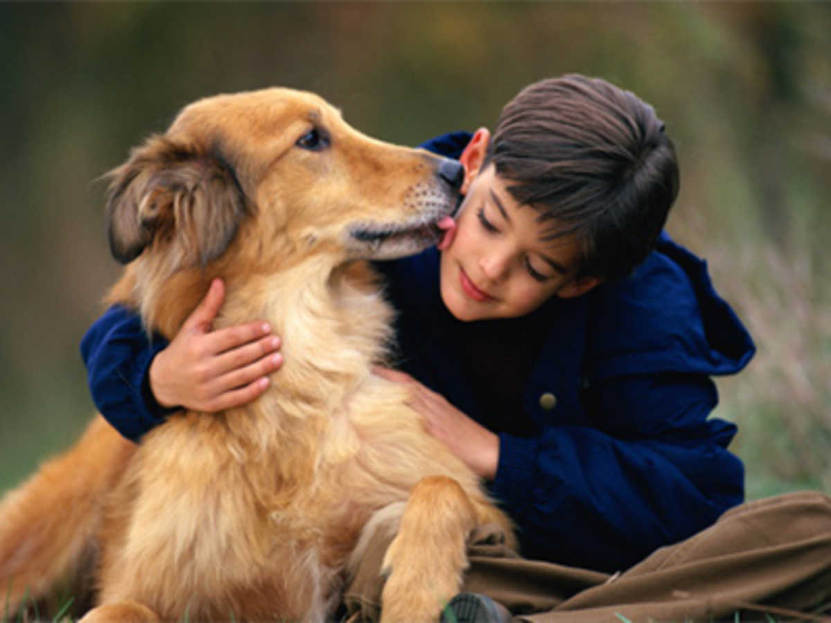 6 Reasons Why You Should Get a Pet