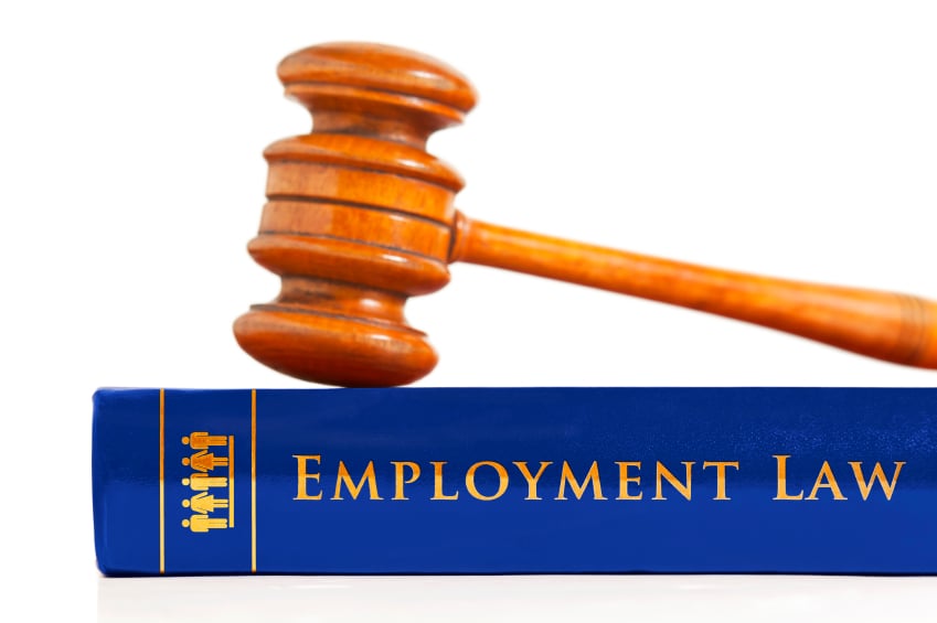 Employment Law and Labour Law in Canada - What’s the Difference?