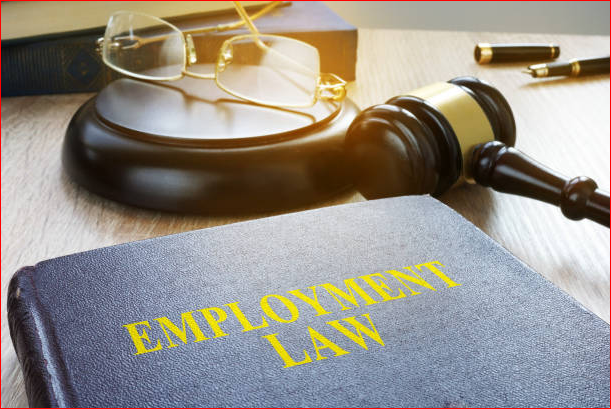 Employment Law and Labour Law in Canada - What’s the Difference?