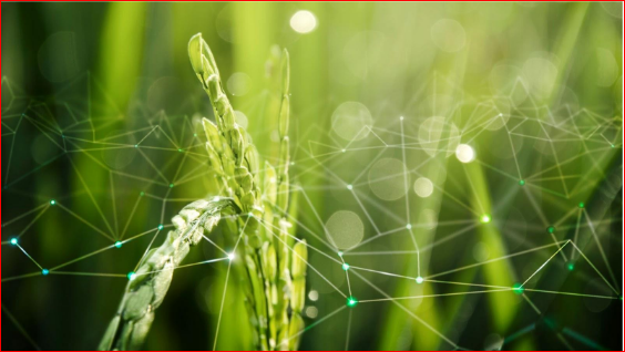 The Importance Of Electronic Design Services In Agriculture