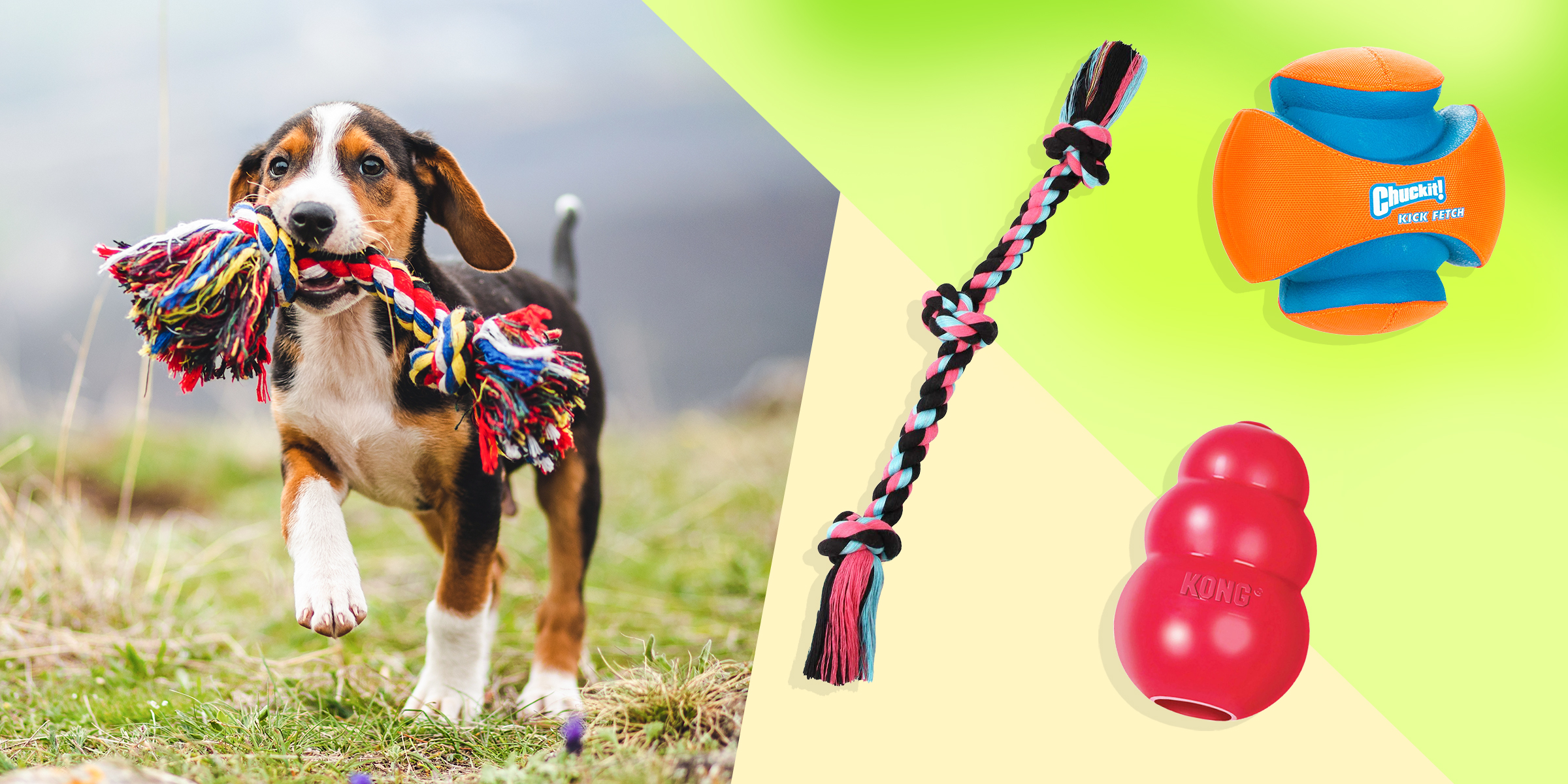 op 5 Fun and Safe Toys for Your Animal Friend: Keep Your Pet Entertained