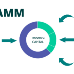 Why a Brokerage CRM is Vital for Any Forex Business