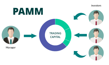 MT4 PAMM Accounts: How Do They Work?