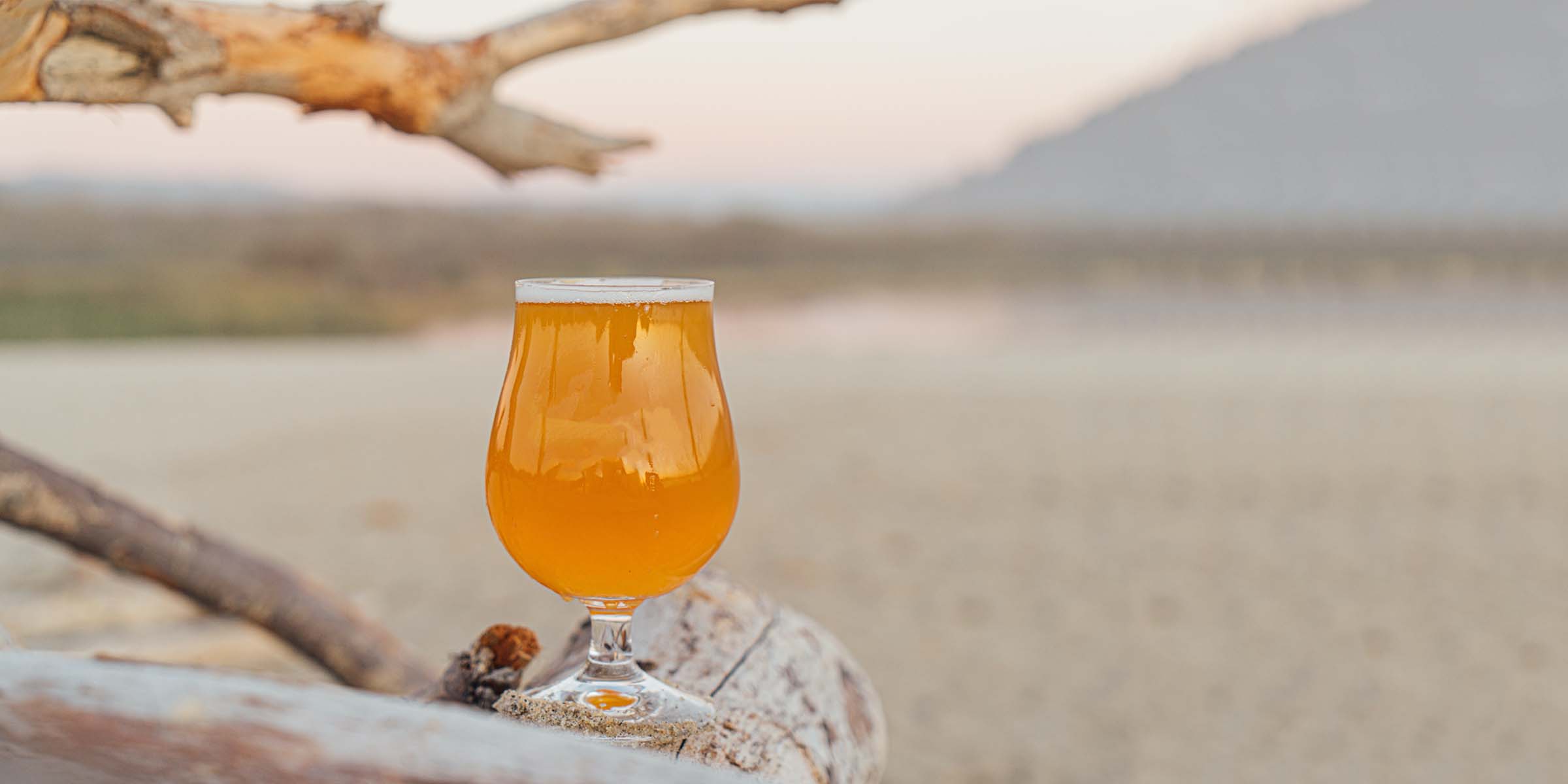 7 Of The Best Light Beers For Beer Lovers (2023)