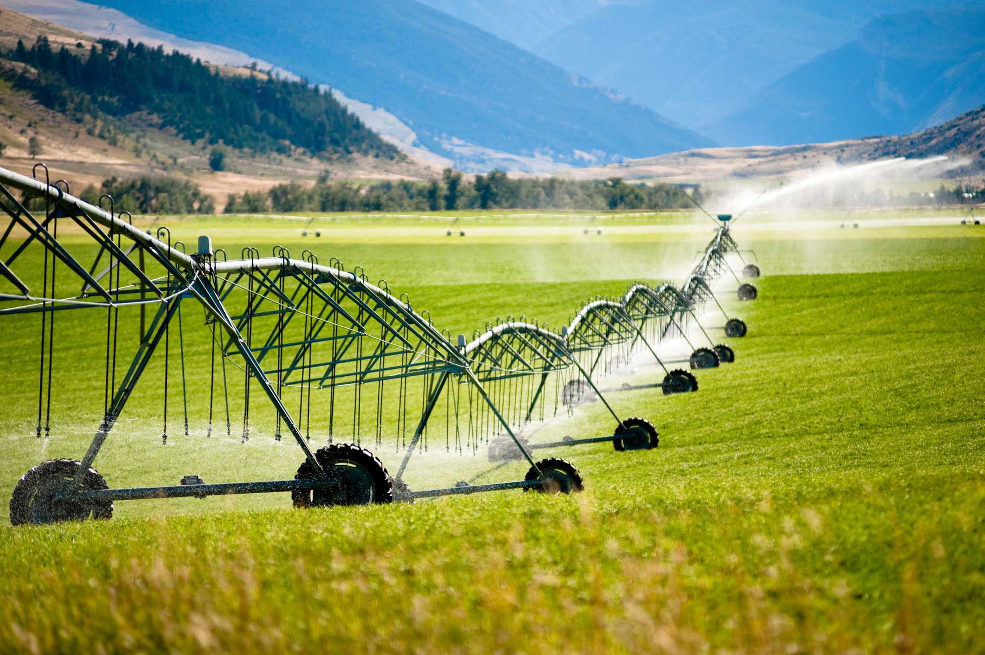 Why Is It Important to Use Irrigation Water Wisely in Horticulture?