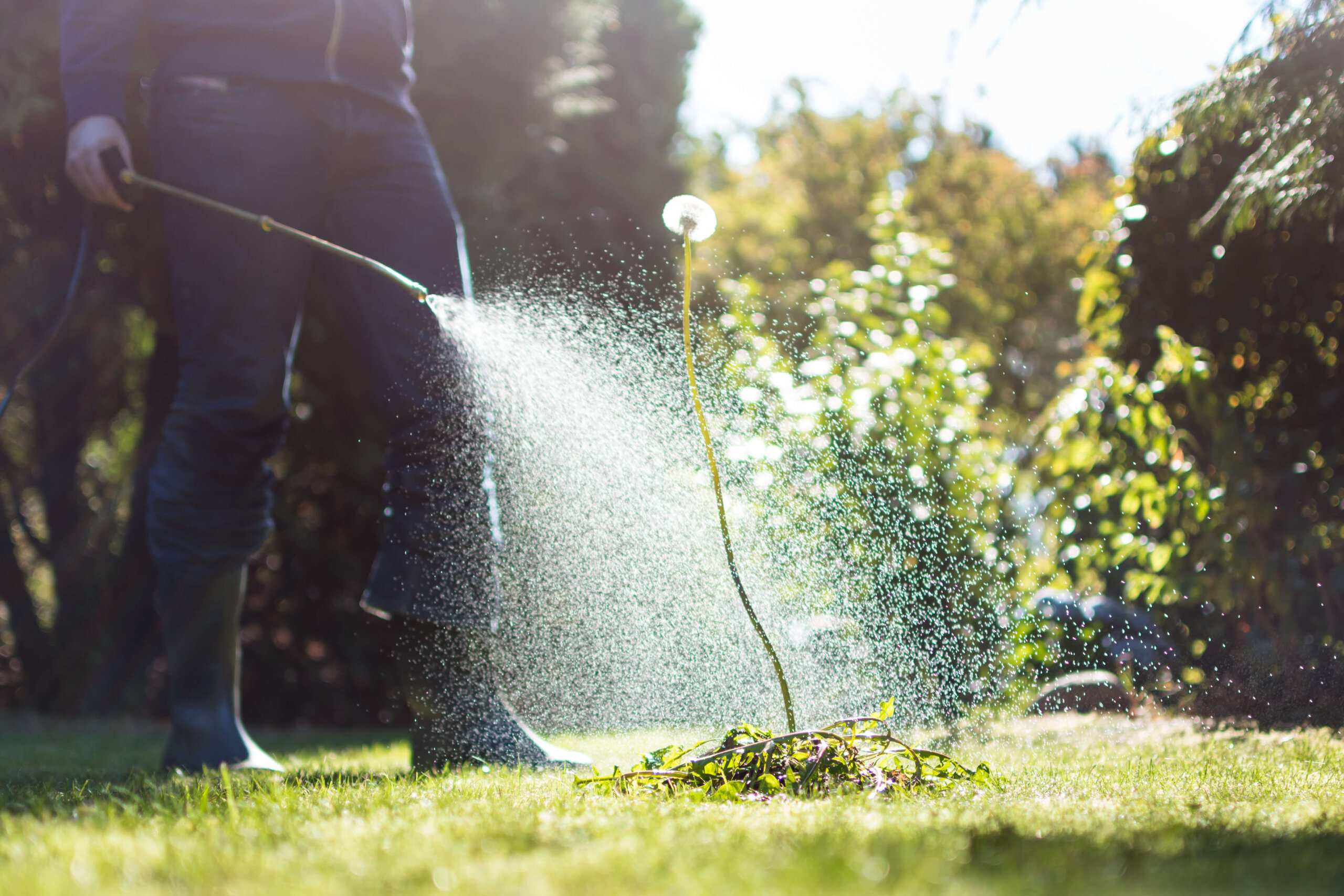 The Benefits of Using Natural Herbicides for a Beautiful and Healthy Lawn