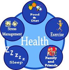 How To Maintain Your Health