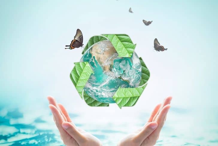 How Recycling Services Can Benefit Your Business And The Environment