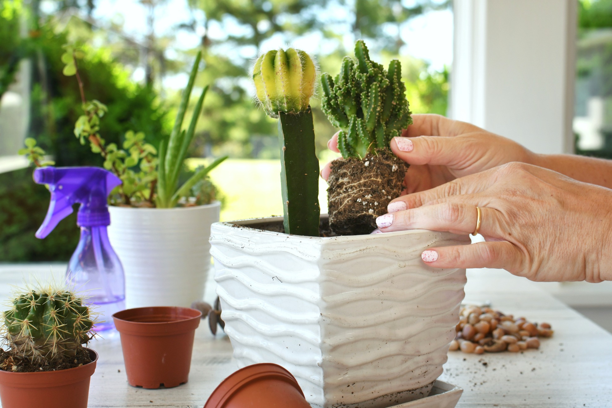 How to Set Up an Indoor Grow Kit