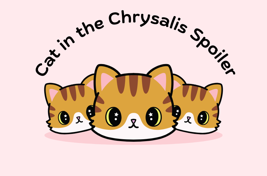 Cat in the Chrysalis Spoiler: Getting Through The Journey Of Mystery and Love