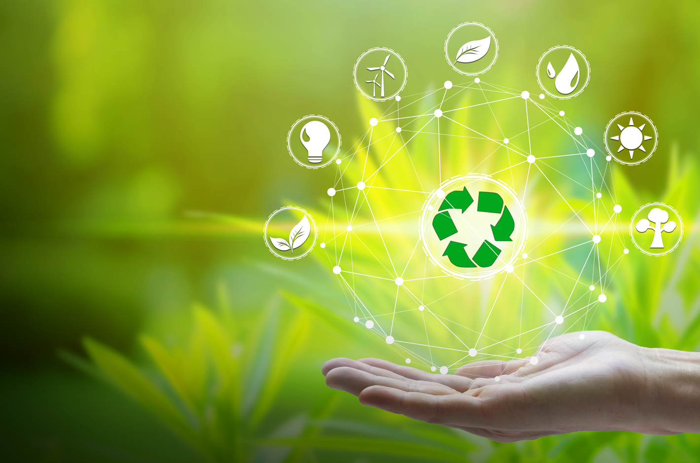 The Business Benefits of Adopting Commercial Recycling Practices