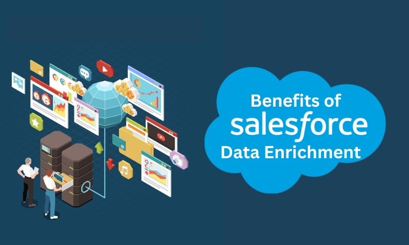 Optimizing Sales Efficiency: The Story Behind Salesforce Data Enrichment Success
