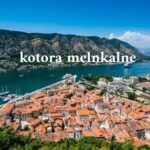 Webfreen.com Fashion Redefined: Where Conscious Living Meets Bold Style