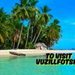 Vidizzy: Revolutionizing Spontaneous Global Connections in the Digital Era