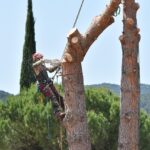 Xlecz: Next-Gen Technology Platform Driving Innovation and Efficiency