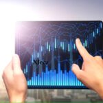 The Ultimate Guide to Tree Removal in Massachusetts