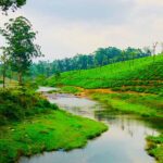 FutureTechGirls com: Empowering Girls to Lead in Tech and Innovation