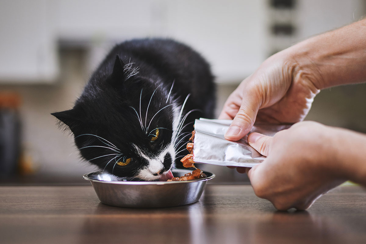 The Ultimate Guide to Understanding Pet Food Labels