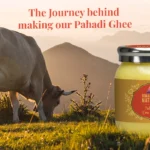 Reliable Movers in RI: Making Your Relocation Hassle-Free