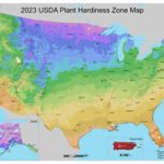 Kansas City Car Accident Lawyer