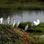 The Healing Power of Light: How Smart Illumination Enhances Well-Being