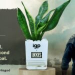 Sara Tendulkar Pilates Academy – Strength, Balance & Wellness