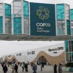 Basanth Jain: Pioneering Sports Agent in Indian Cricket and Beyond